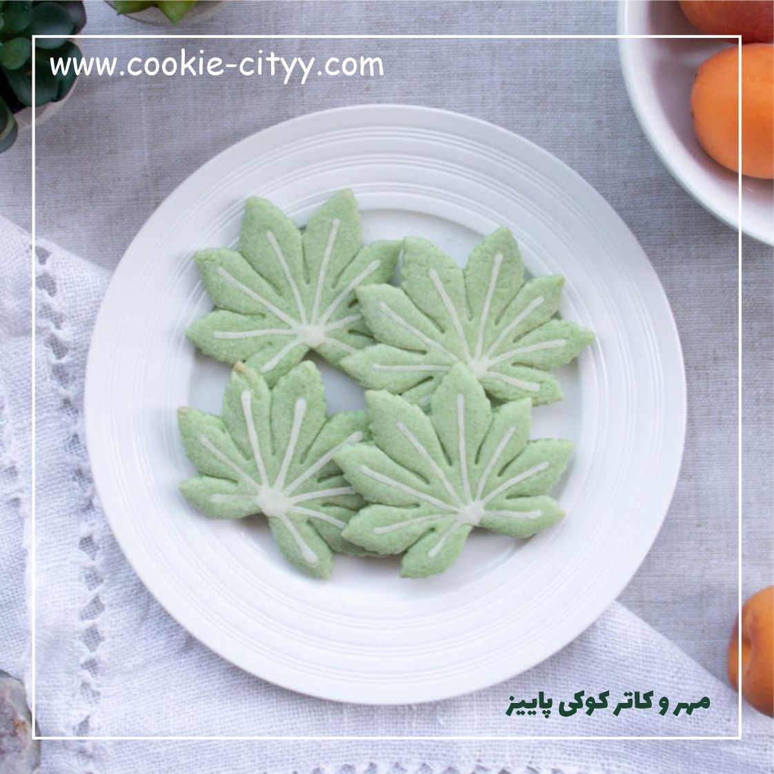 کاتر برگ 3
