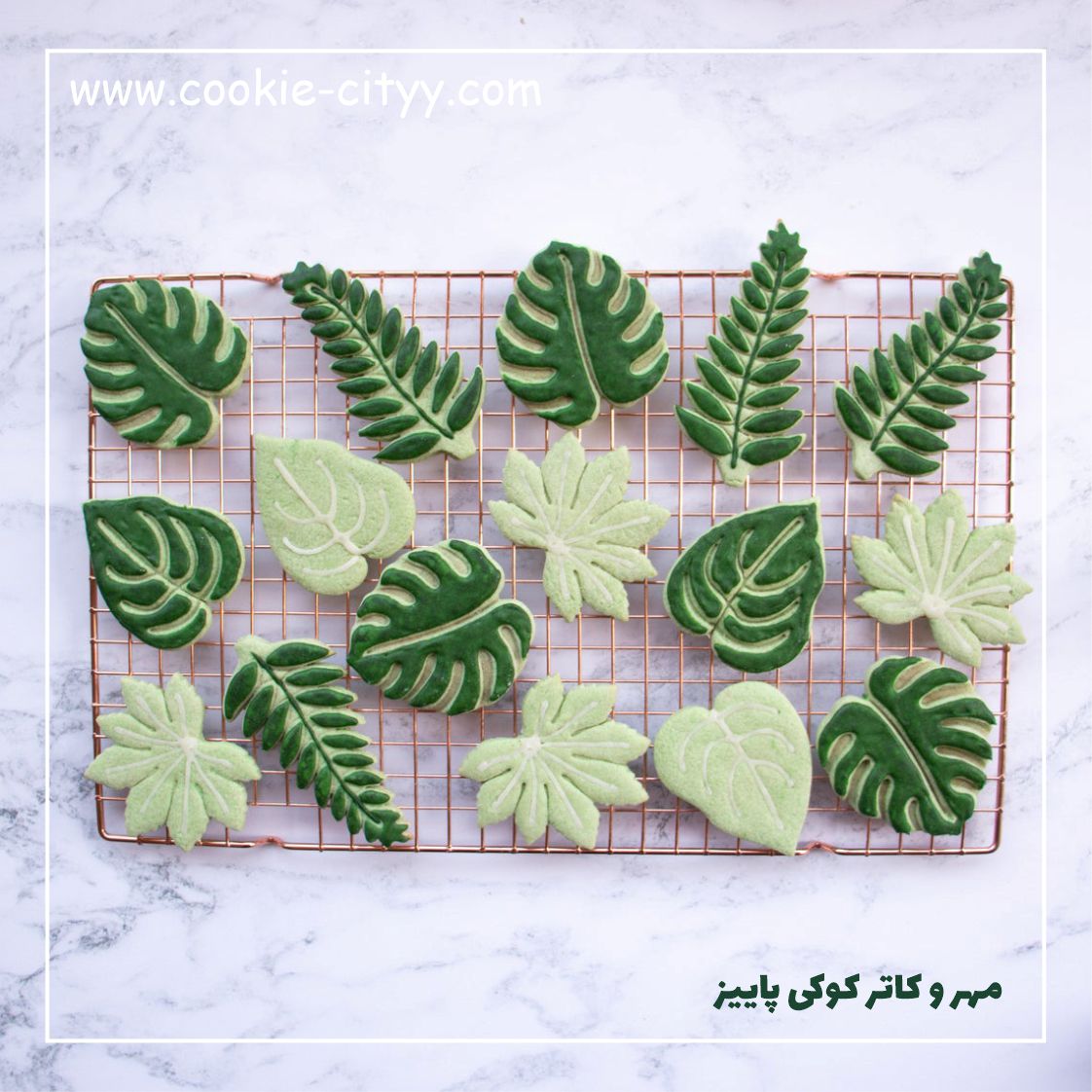 کاتر کوکی برگی
